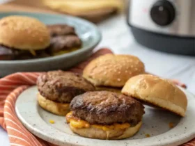 Juicy frozen burgers in air fryer with melted cheese on top