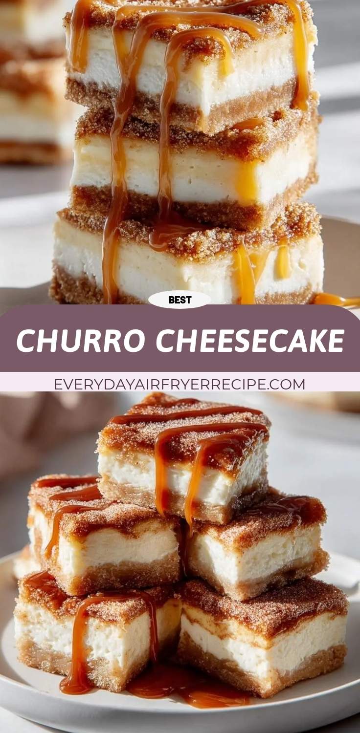 churro cheesecake pinterest