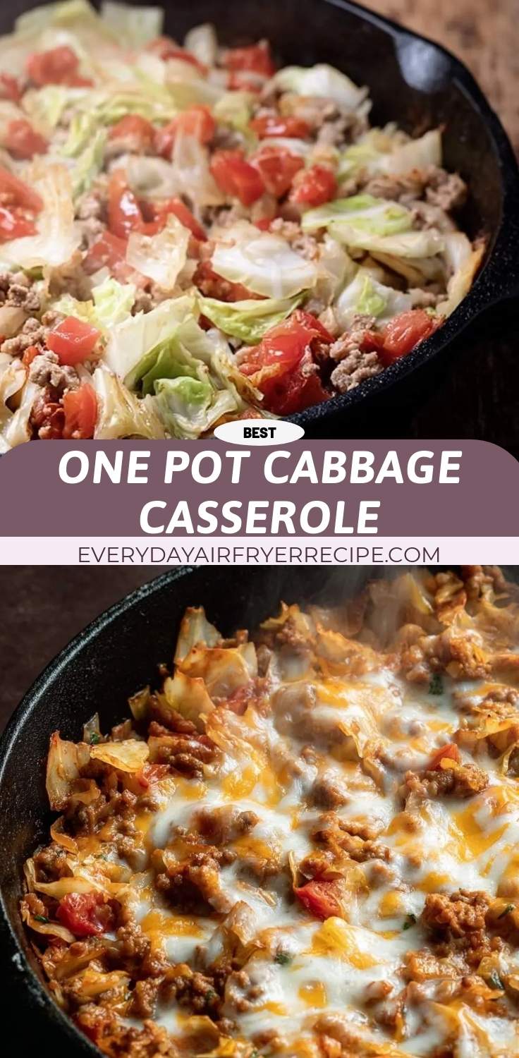 one pot cabbage casserole pinterest
