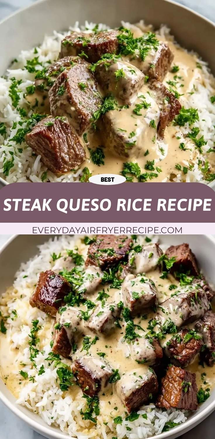 steak queso rice recipe pinterest