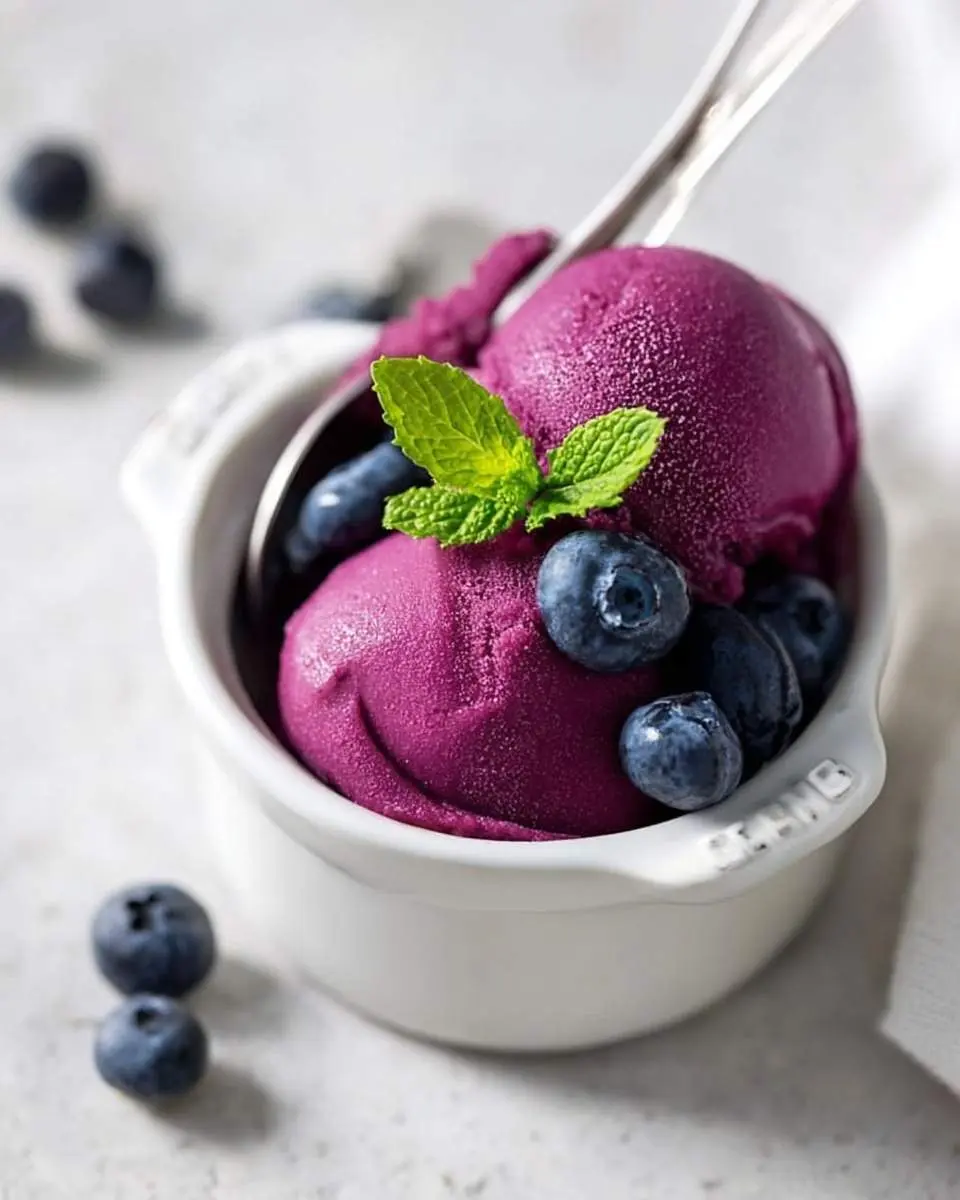 Ninja Creami Blueberry Frozen Yogurt