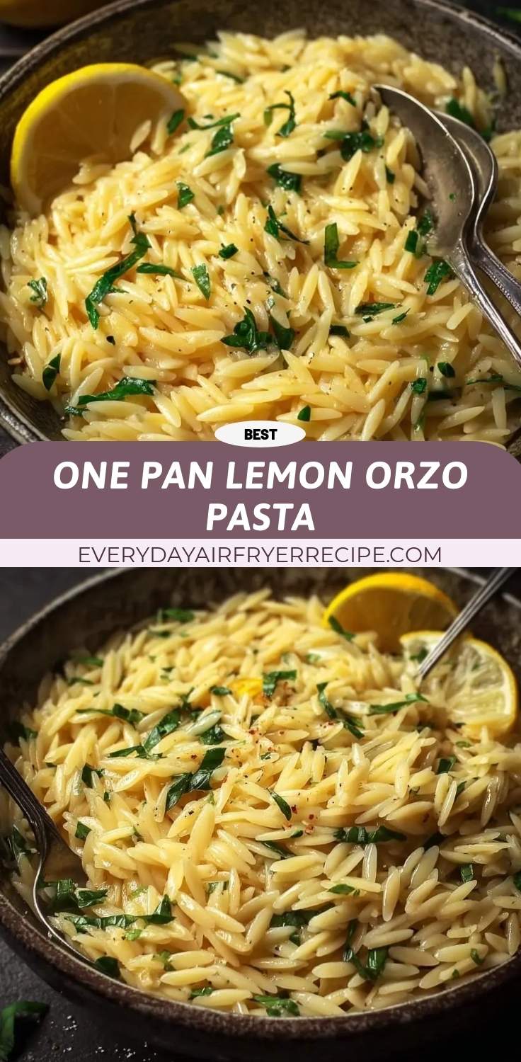 one pan lemon orzo pasta pinterest