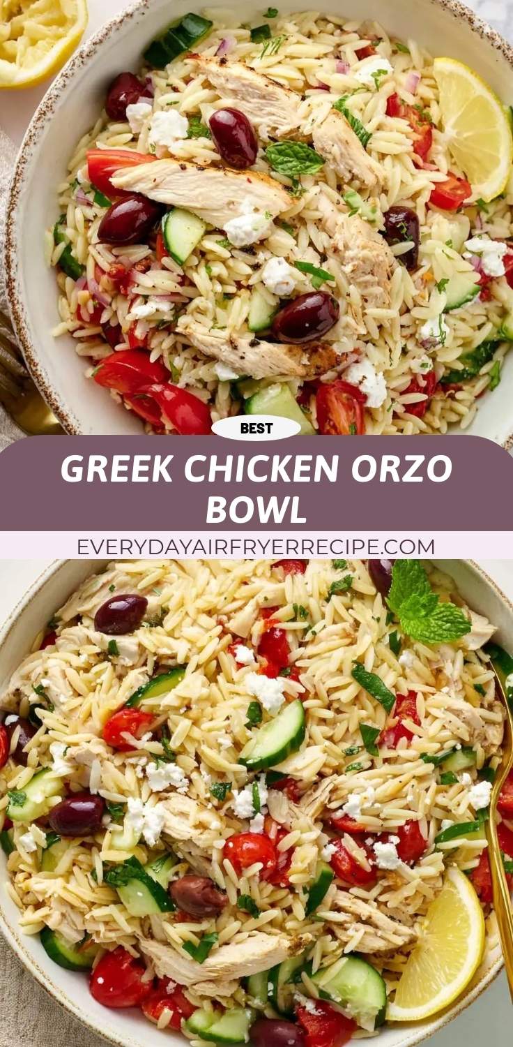 greek chicken orzo bowl pinterest