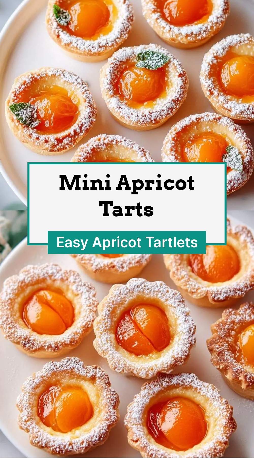 Mini Apricot Tarts 27 finished dish ready to serve