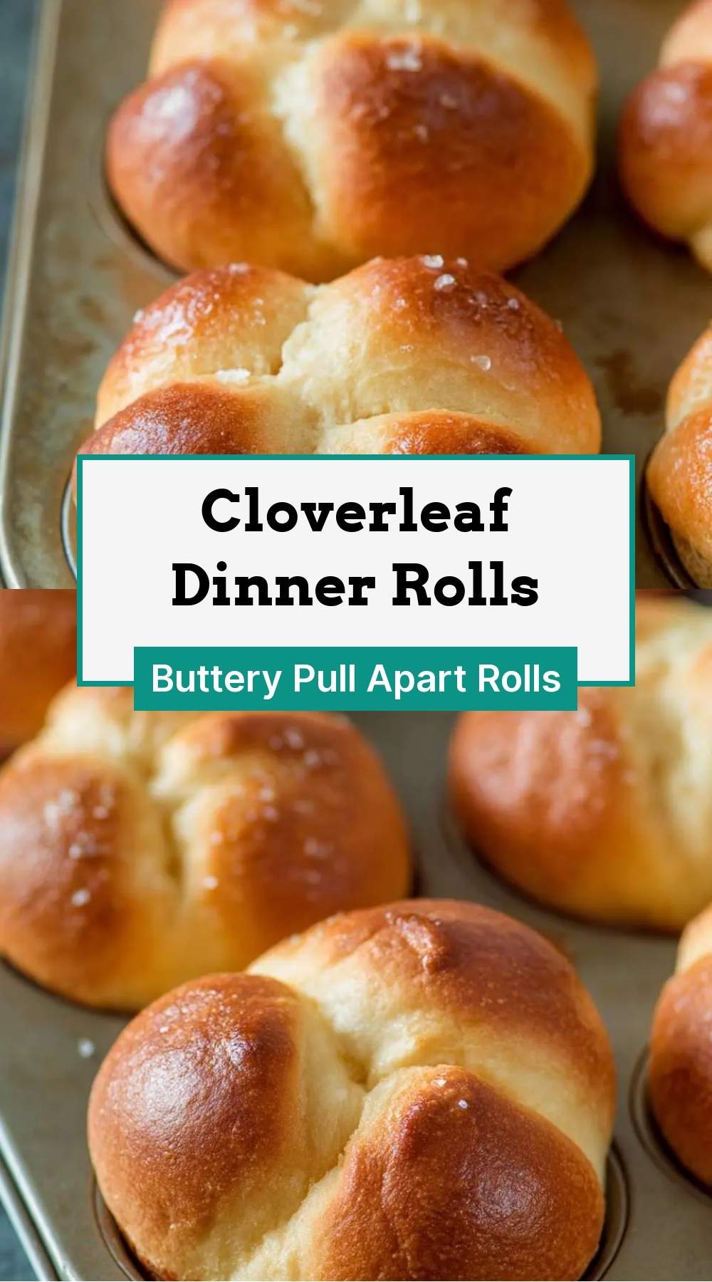 Cloverleaf Dinner Rolls 27 finished dish ready to serve